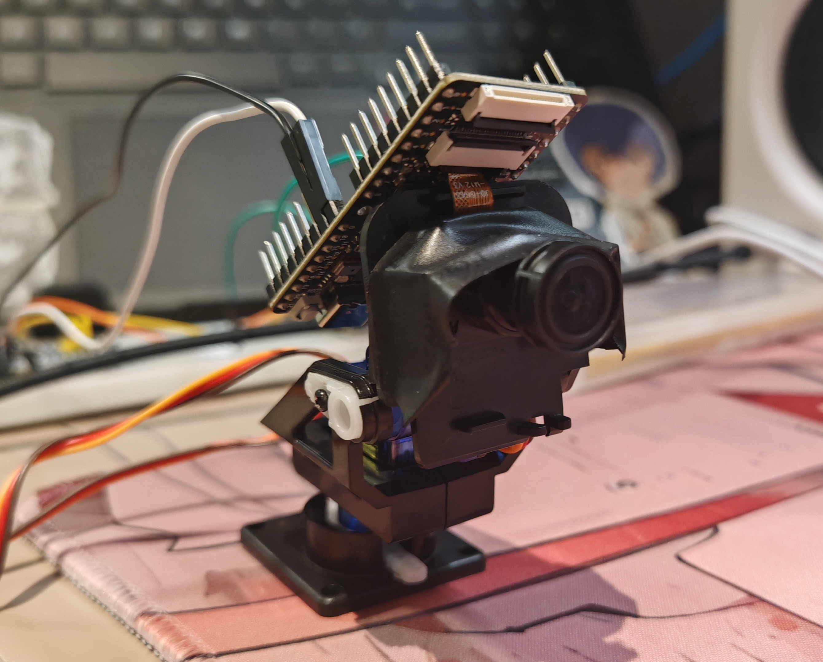 基于YOLOv2的目标跟踪云台(K210+STM32)