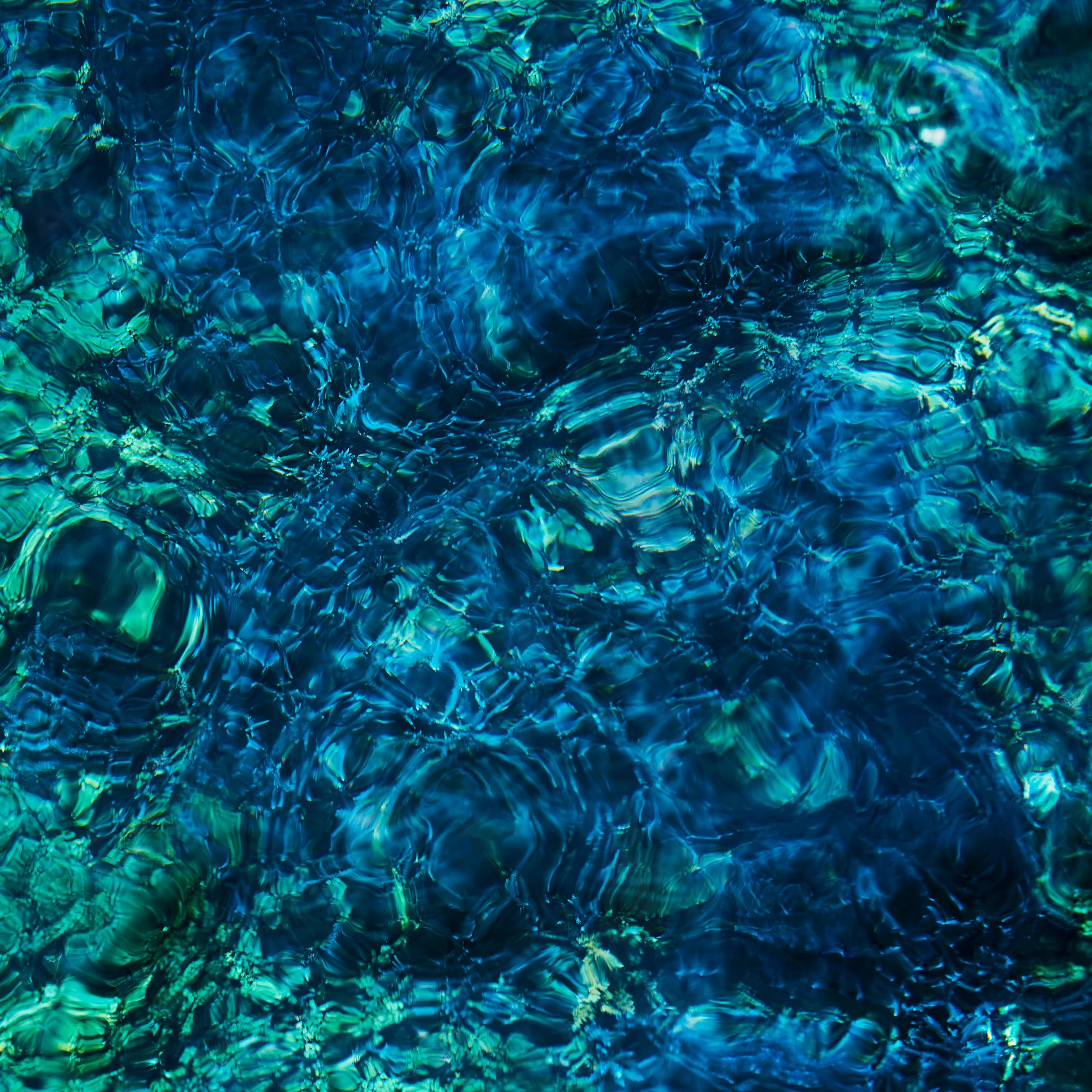 Python爬虫的简单实现